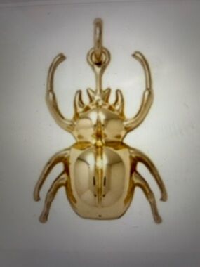 India Hicks Indi pendant/charm good luck beetle/brand new